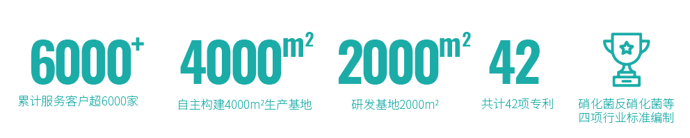 About 公司资料
