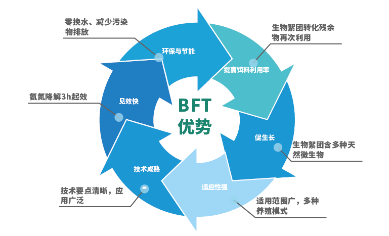 图片9